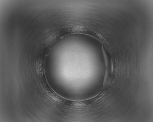 X0000054420619200507291251