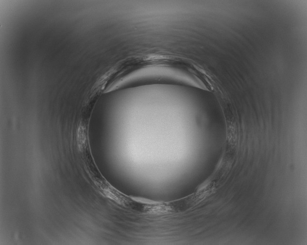 X0000054420621200507291251