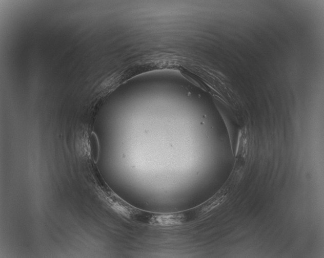 X0000054420622200507291251