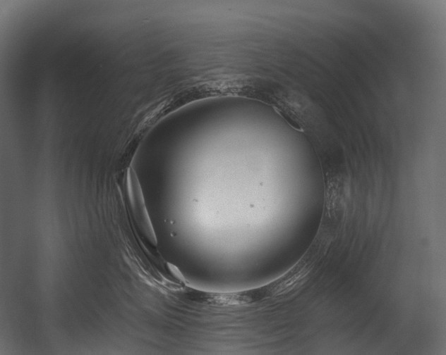 X0000054420623200507291250