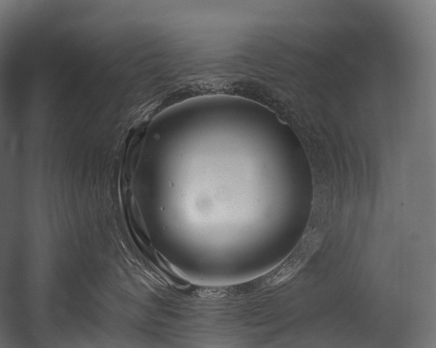 X0000054420624200507291250