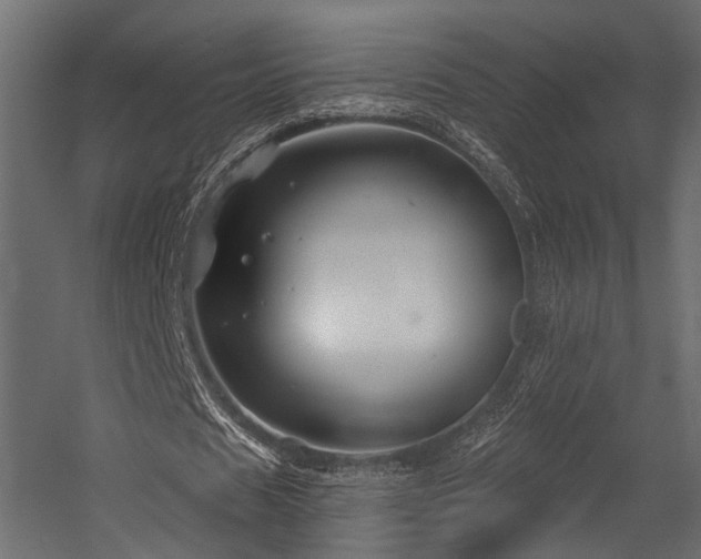 X0000054420625200507291250