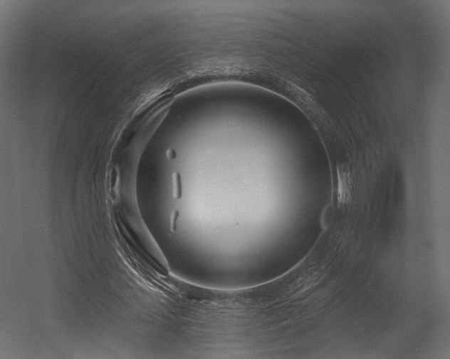 X0000054420627200507291250