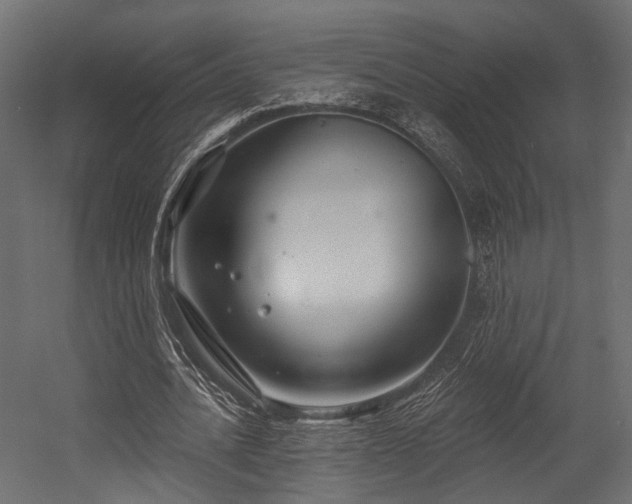 X0000054420628200507291250