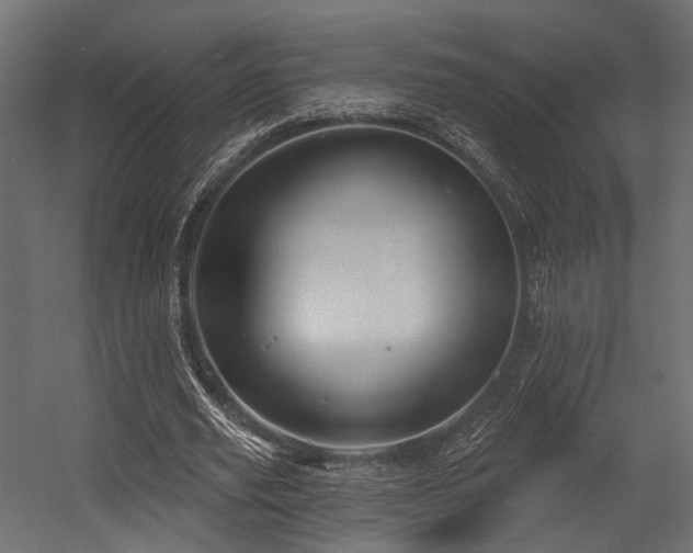 X0000054420629200507291250