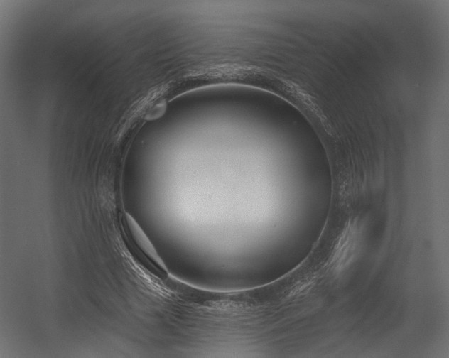 X0000054420633200507291250