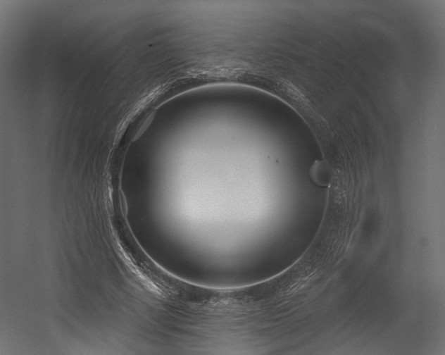 X0000054420634200507291250