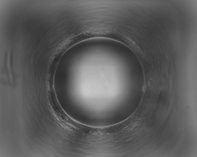 X0000054420635200507291250