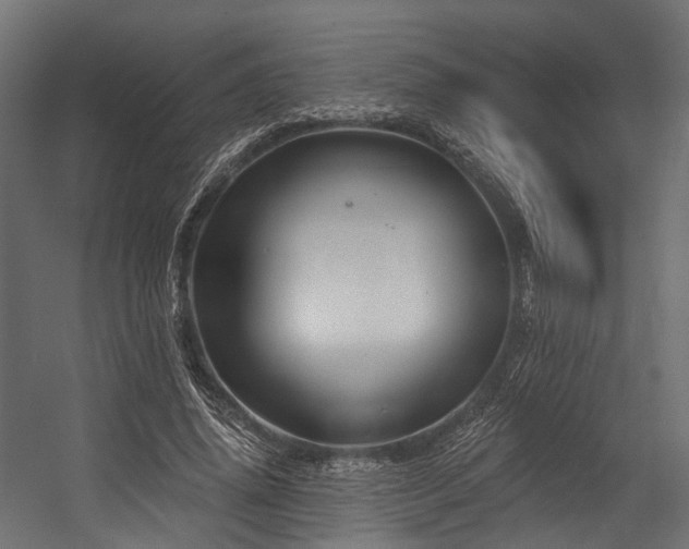 X0000054420636200507291250