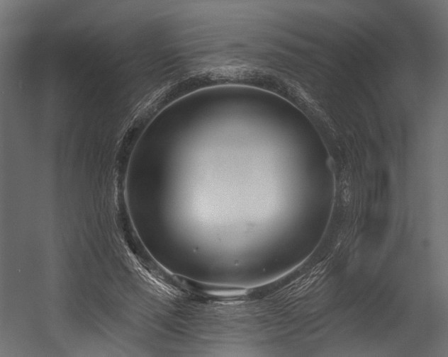 X0000054420637200507291250