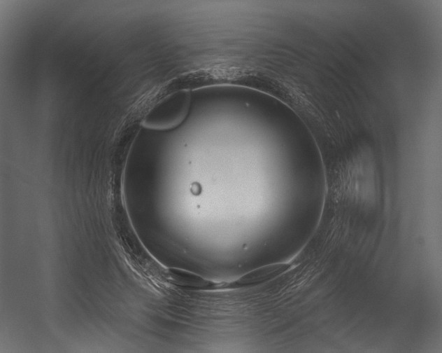 X0000054420639200507291250