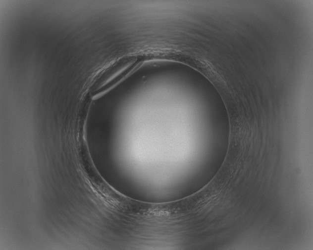 X0000054420640200507291250