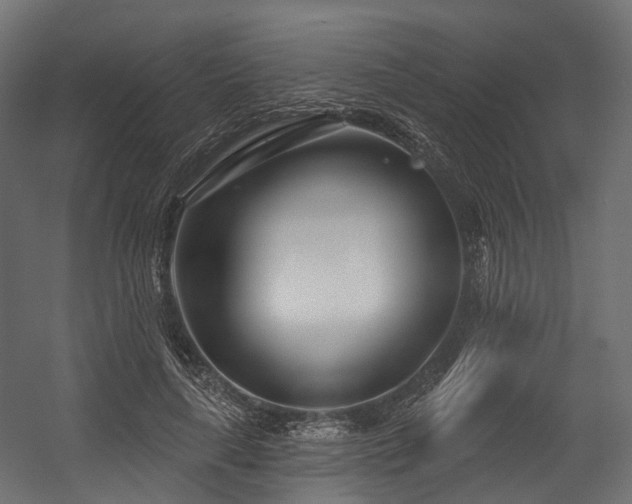 X0000054420643200507291250