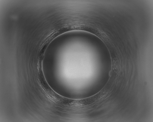 X0000054420648200507291250