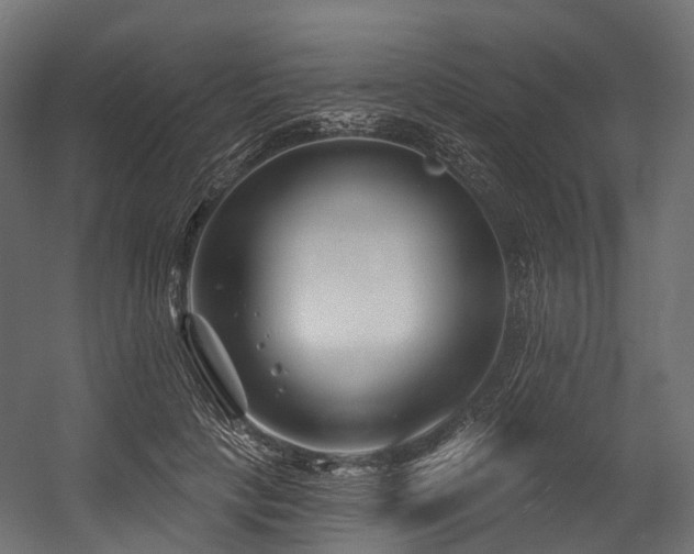 X0000054420649200507291250