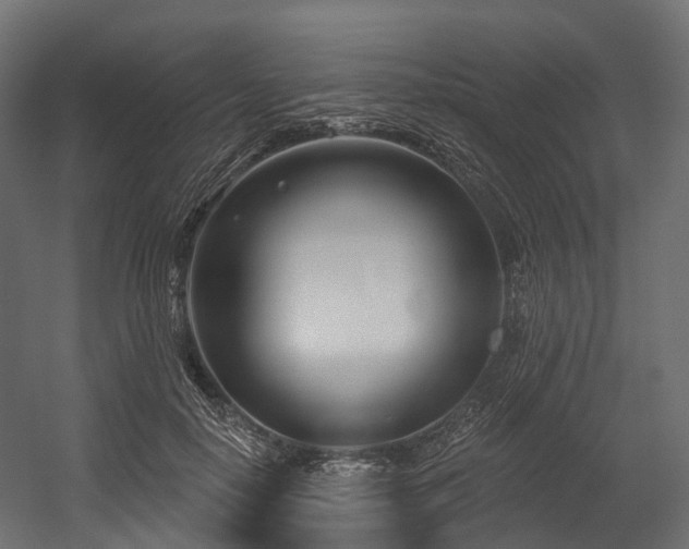 X0000054420650200507291250