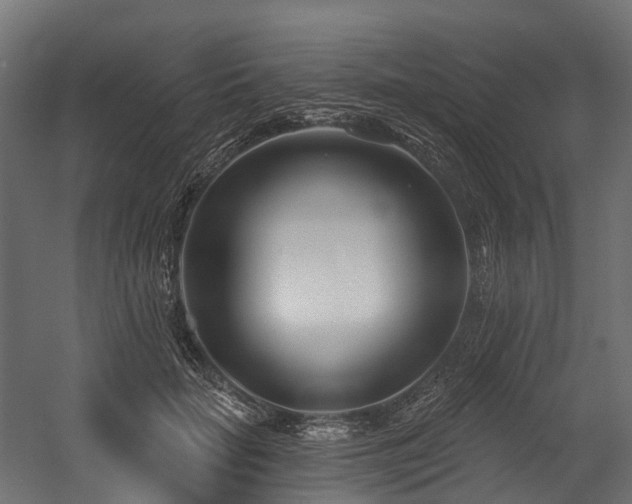 X0000054420653200507291250