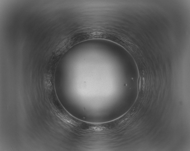 X0000054420654200507291250