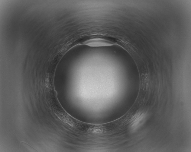 X0000054420655200507291250