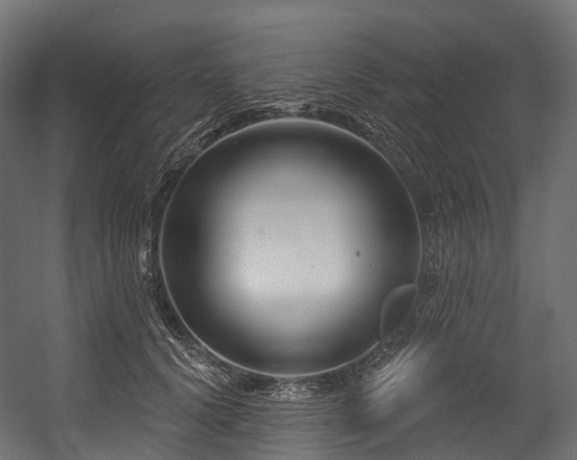 X0000054420656200507291250