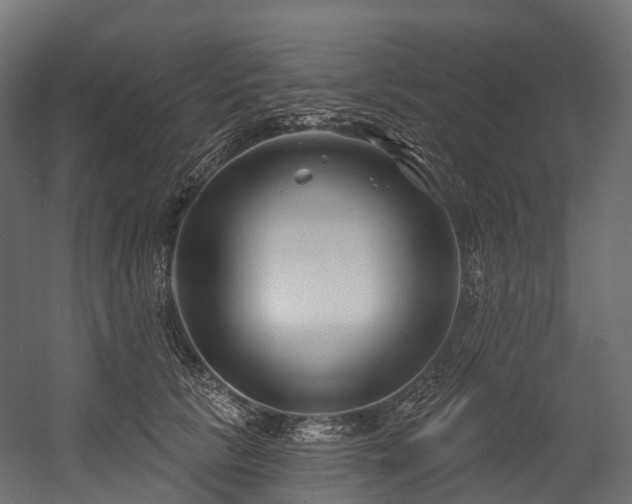 X0000054420657200507291250