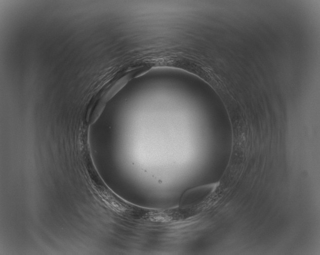 X0000054420658200507291250