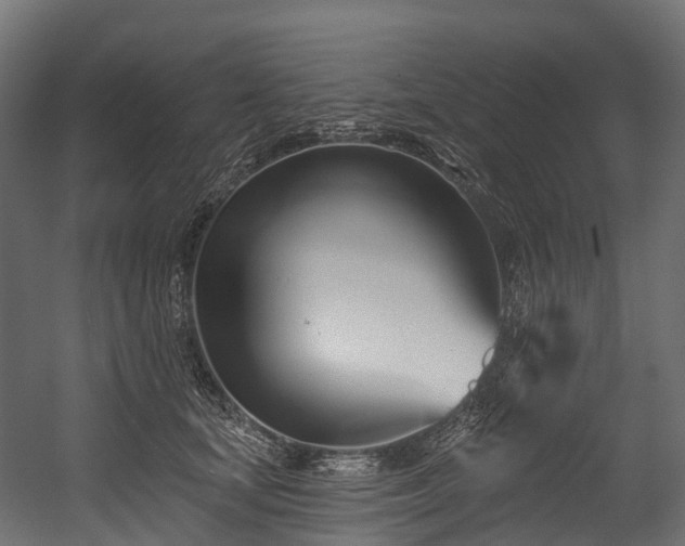 X0000054420659200507291250