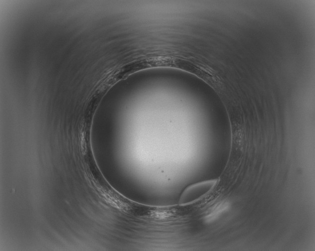 X0000054420662200507291250