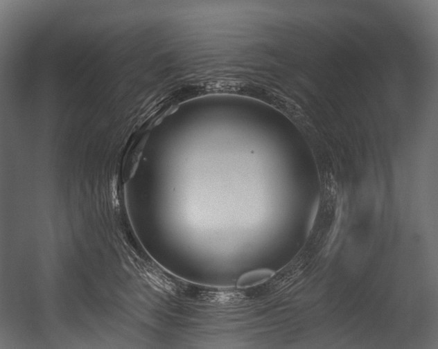 X0000054420663200507291250