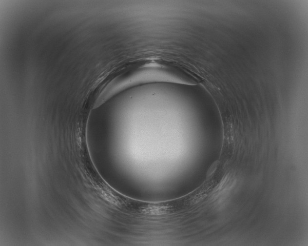 X0000054420664200507291250