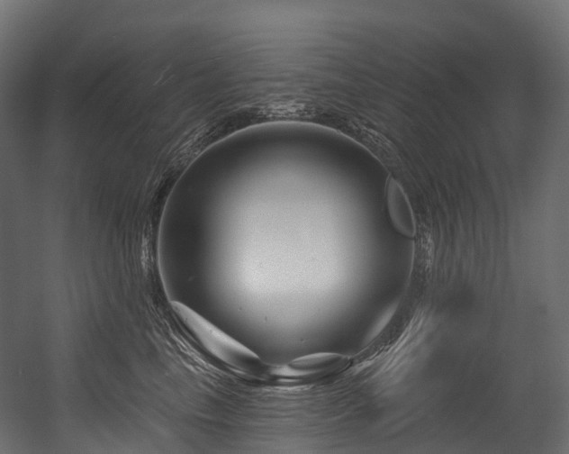 X0000054420665200507291250