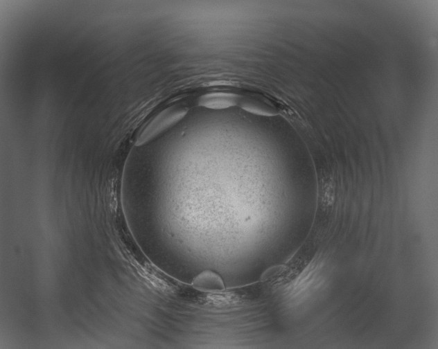 X0000054420666200507291250