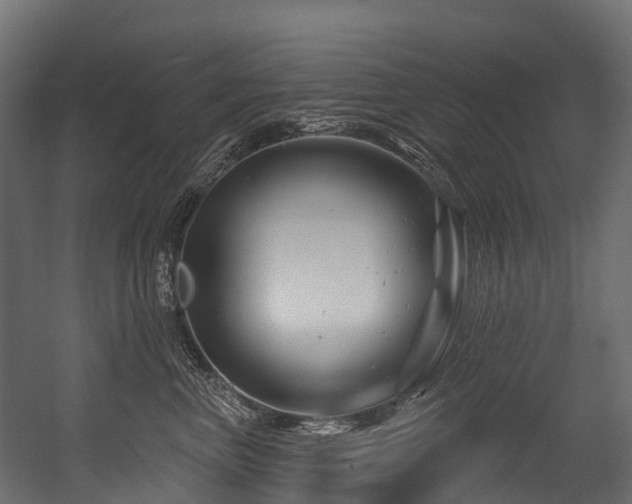 X0000054420667200507291250