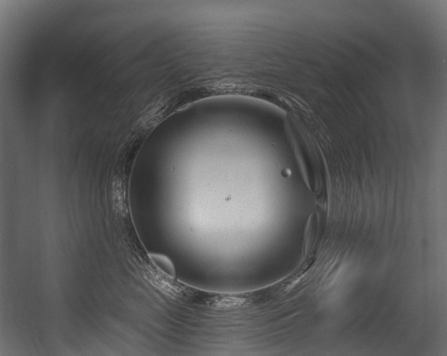 X0000054420669200507291250