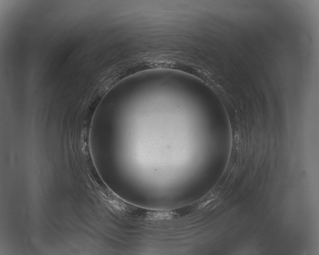 X0000054420671200507291250