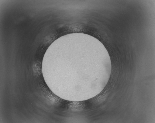 X0000054420672200507291250