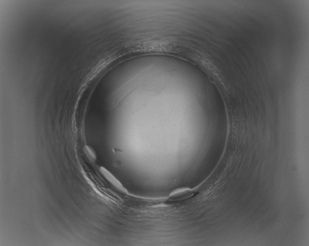 X0000054420674200507291250