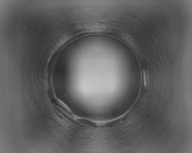 X0000054420675200507291250