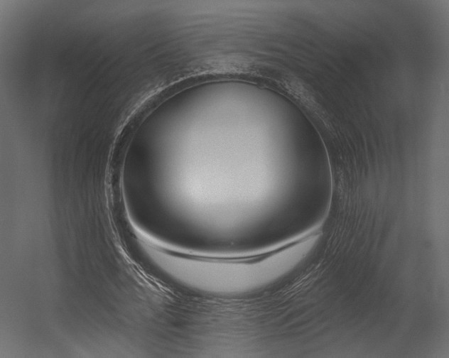 X0000054420676200507291250