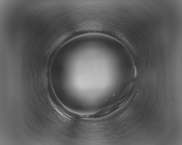 X0000054420677200507291250