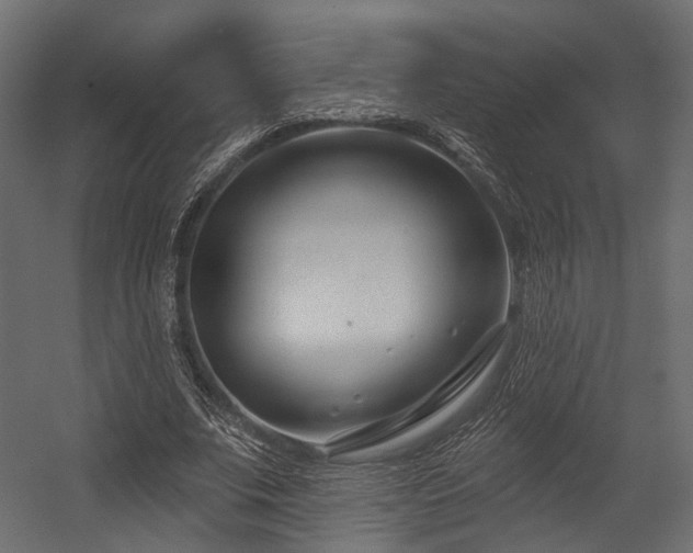 X0000054420679200507291250