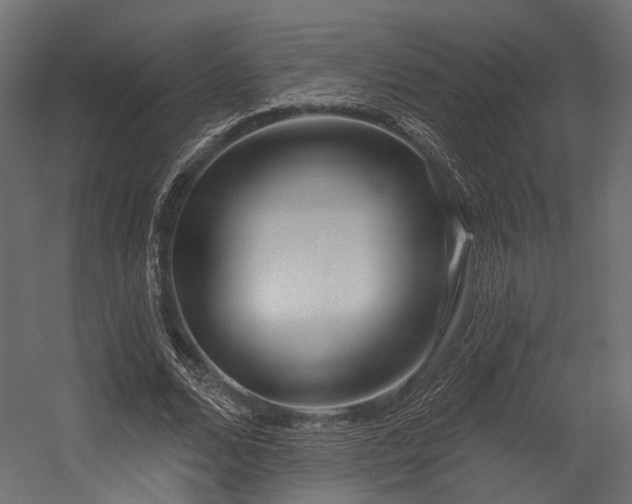 X0000054420680200507291250