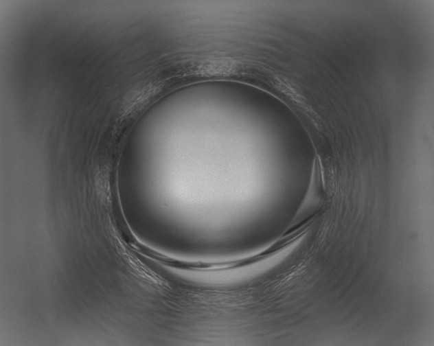 X0000054420681200507291250