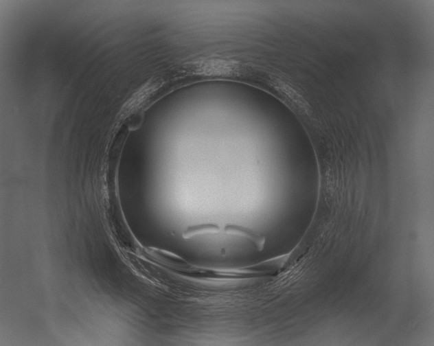 X0000054420682200507291249