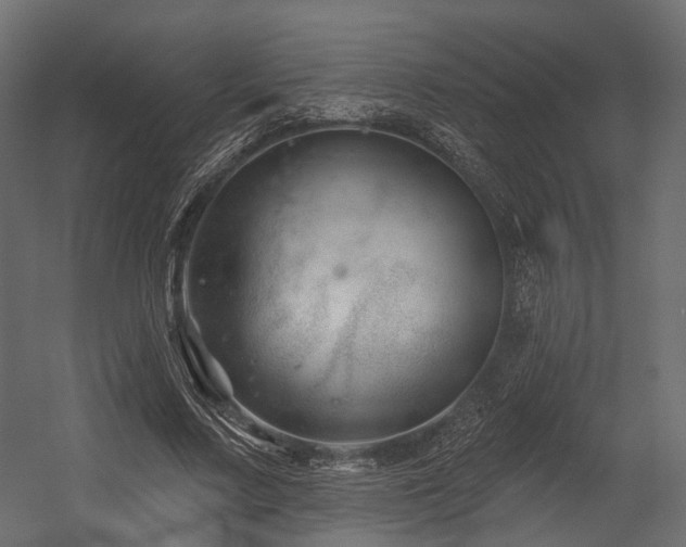 X0000054420683200507291249