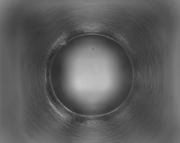 X0000054420686200507291249