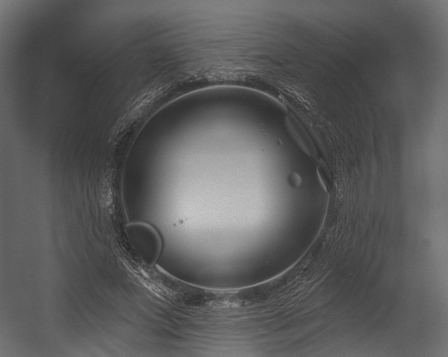 X0000054420687200507291249