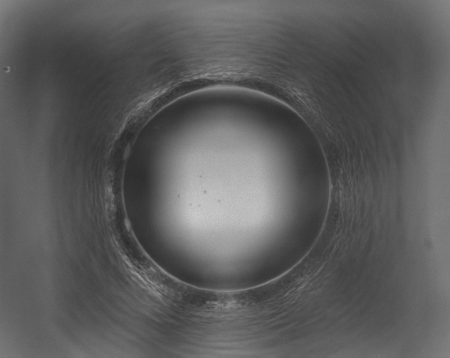 X0000054420688200507291249