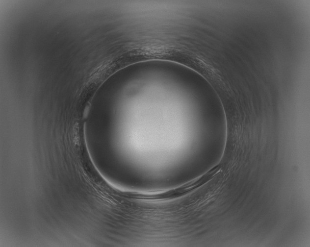 X0000054420689200507291249