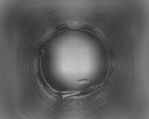 X0000054420690200507291249